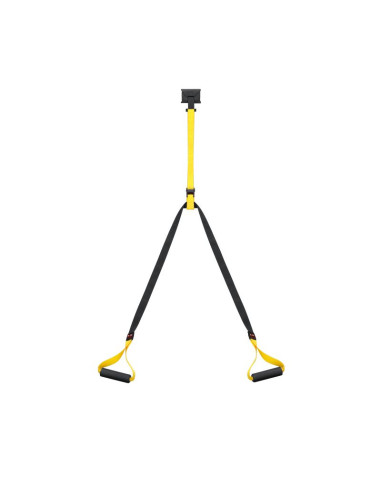 Pasy total body suspension trainer body sculpture