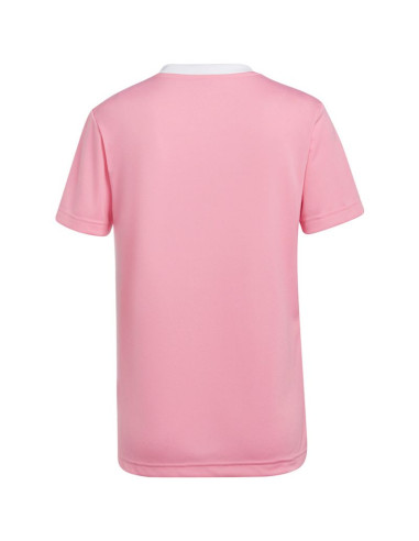 Koszulka adidas entrada 22 jersey w