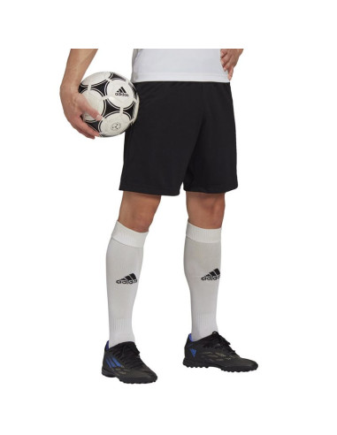 Spodenki adidas entrada 22 training short m