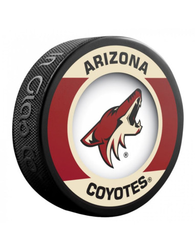 Pamiątka krążek hokejowy inglasco nhl retro