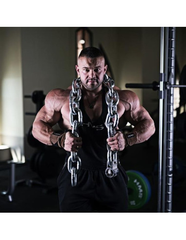 Łańcuch na gryf gr50 (2 szt) hms 17-62-115