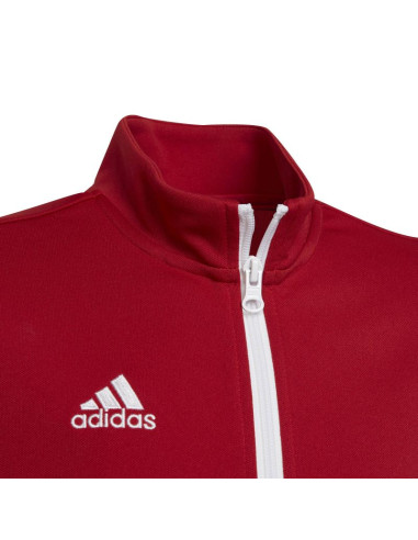Bluza adidas entrada 22 track jr