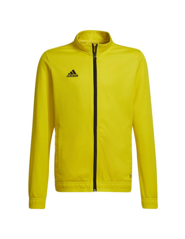 Bluza adidas entrada 22 track jr
