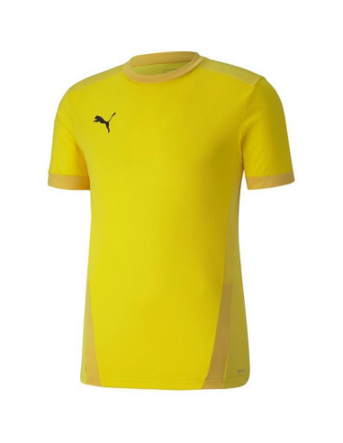 Koszulka puma teamgoal 23 jersey m 704171