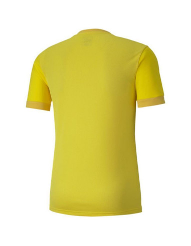 Koszulka puma teamgoal 23 jersey m 704171