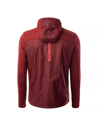 Bluza iguana scone m