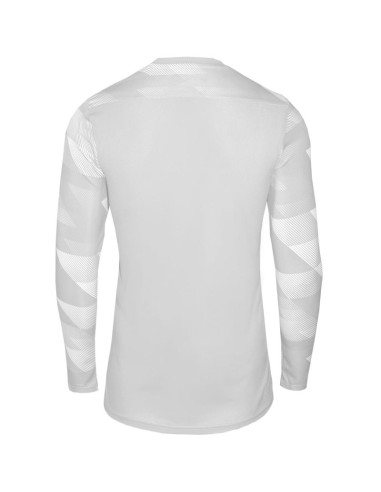 Koszulka nike dry park iv jsy ls gk jr cj6072