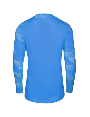 Koszulka nike dry park iv jsy ls gk jr cj6072