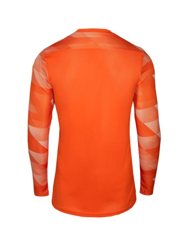 Koszulka nike dry park iv jsy ls gk jr cj6072