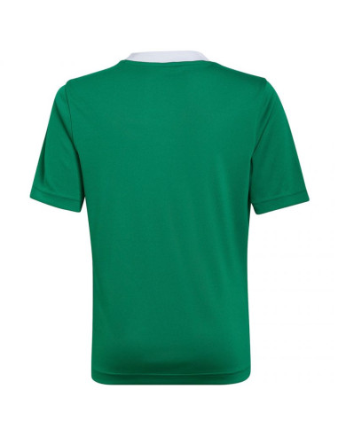 Koszulka adidas entrada 22 jersey jr