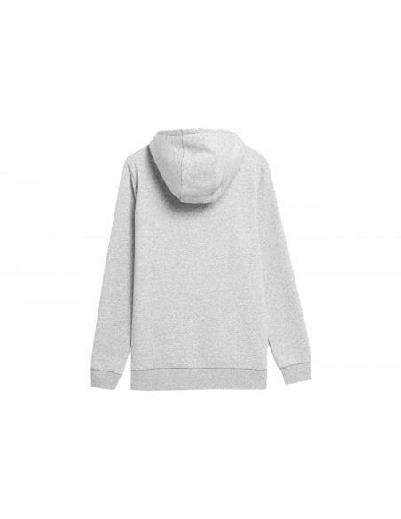 Bluza 4f w 4fss23tswsf372