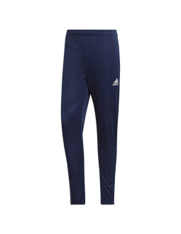 Spodnie adidas entrada 22 training panty m