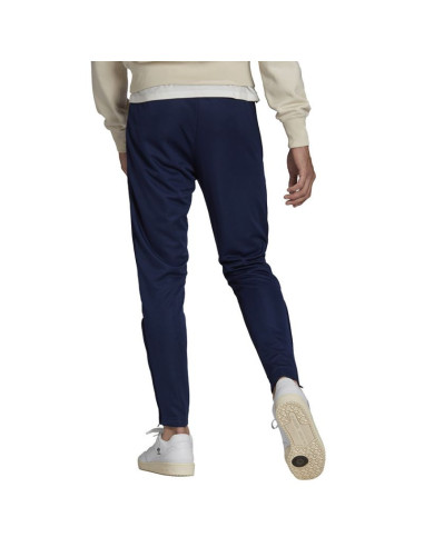 Spodnie adidas entrada 22 training panty m