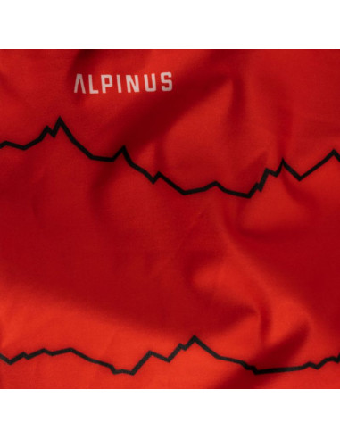 Komin alpinus zuzi alp