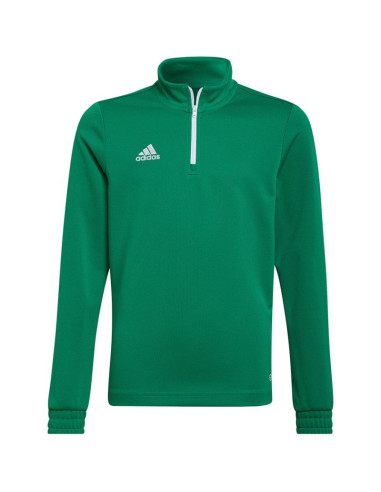 Bluza adidas entrada 22 training top jr