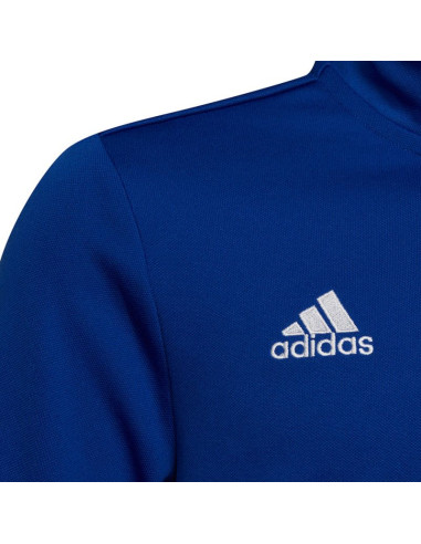 Bluza adidas entrada 22 training top jr