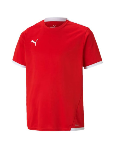 Koszulka puma teamliga jersey jr 704925