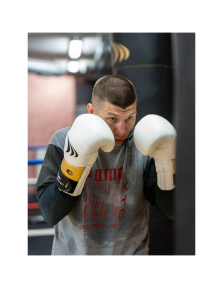Rękawice bokserskie yakmaspor lion