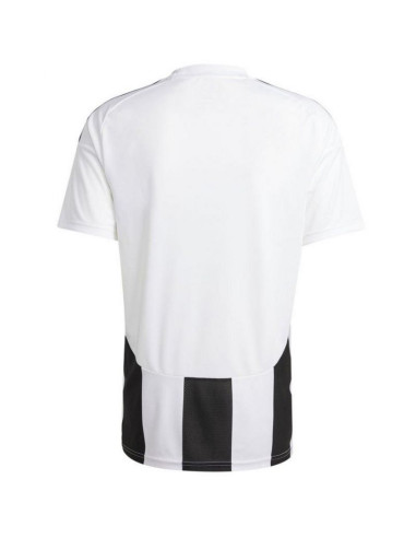 Koszulka adidas striped 24 jsy m