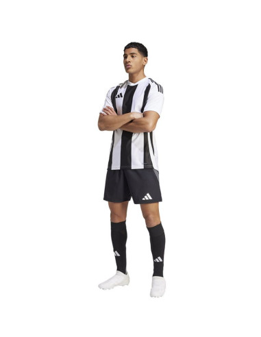 Koszulka adidas striped 24 jsy m