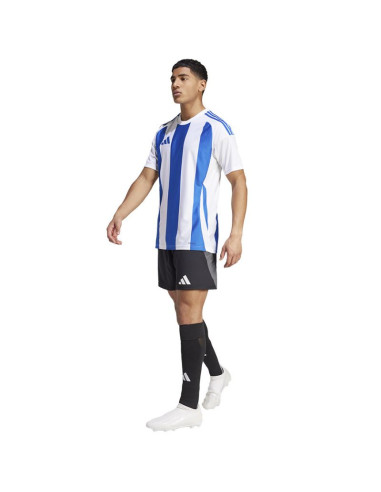 Koszulka adidas striped 24 jsy m