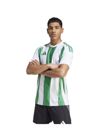 Koszulka adidas striped 24 jsy m