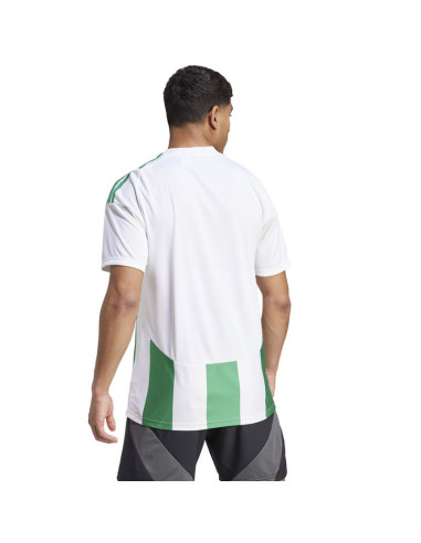 Koszulka adidas striped 24 jsy m