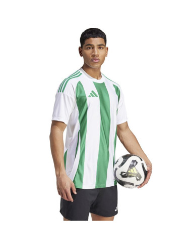 Koszulka adidas striped 24 jsy m