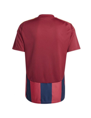 Koszulka adidas striped 24 jsy m