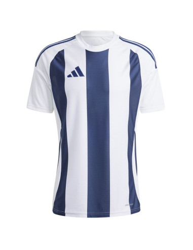 Koszulka adidas striped 24 jsy m