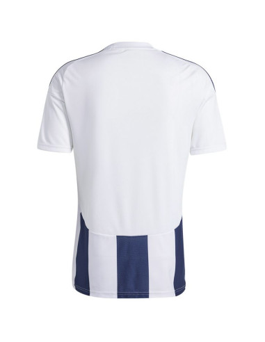 Koszulka adidas striped 24 jsy m