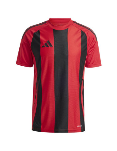 Koszulka adidas striped 24 jsy m