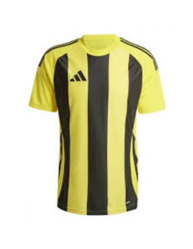 Koszulka adidas striped 24 jsy m