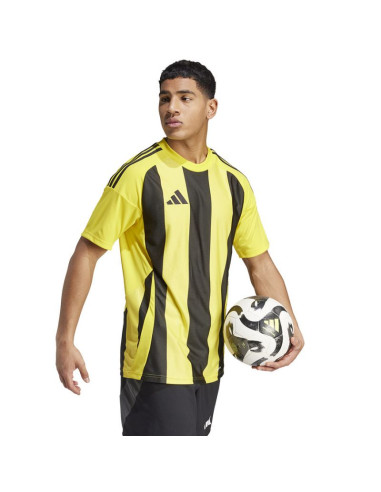 Koszulka adidas striped 24 jsy m