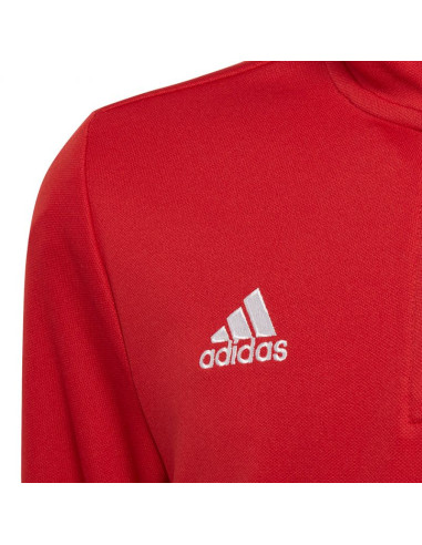 Bluza adidas entrada 22 tr top jr