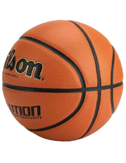 Piłka wilson evolution indoor game ball 2