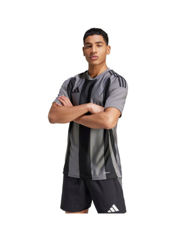 Koszulka adidas striped 24 jersey m