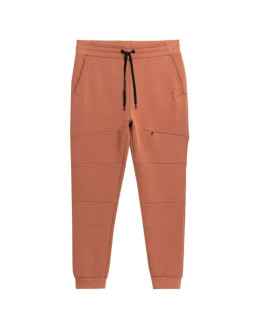 Spodnie 4f m 4fss23ttrom152