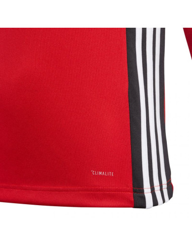 Bluza adidas regista 18 training jr czerwona cz8656