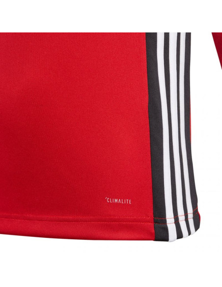 Bluza adidas regista 18 training jr czerwona cz8656