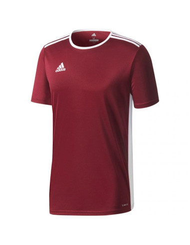 Koszulka adidas entrada 18 jr