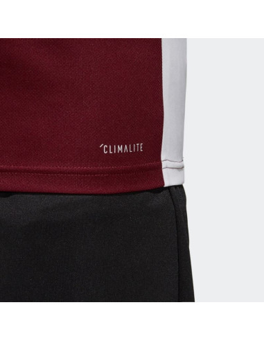 Koszulka adidas entrada 18 jr