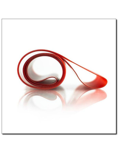 Guma do ćwiczeń hms gu04