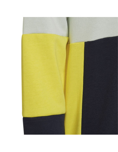 Bluza adidas colourblock hoodie jr