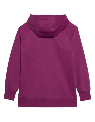 Bluza 4f f0955 w 4fwss24tswsf0955