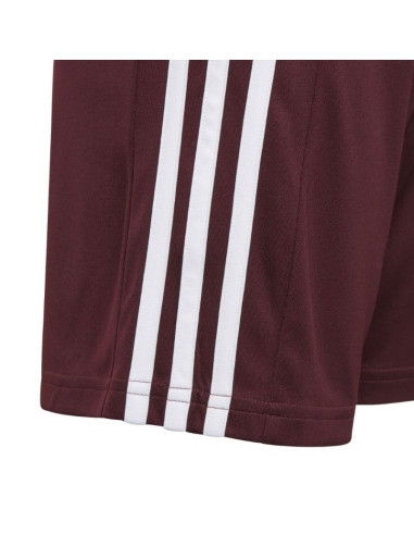 Spodenki adidas squadra 21 short jr