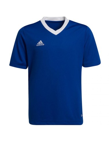 Koszulka adidas entrada 22 jsy jr