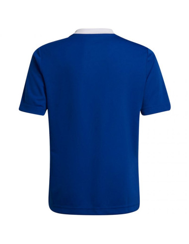 Koszulka adidas entrada 22 jsy jr