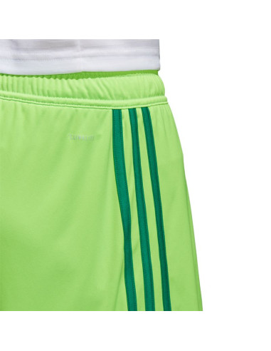 Spdenki adidas regista 18 short m cf9598