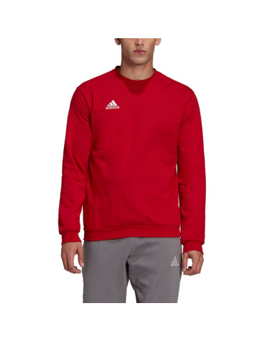 Bluza adidas entrada 22 sweatshirt m hb0577